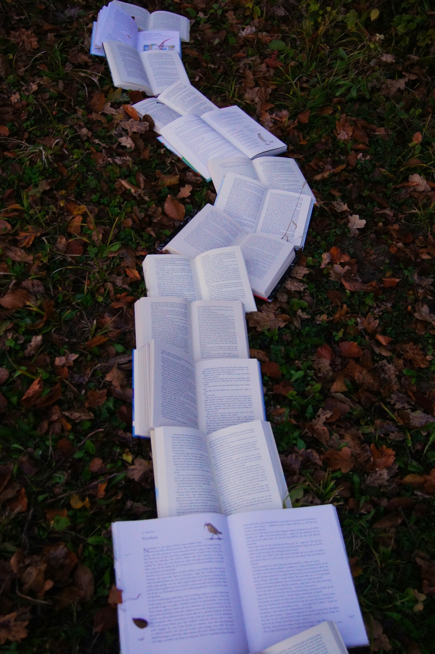 Heartfelt TBR Stories and Their Lessons