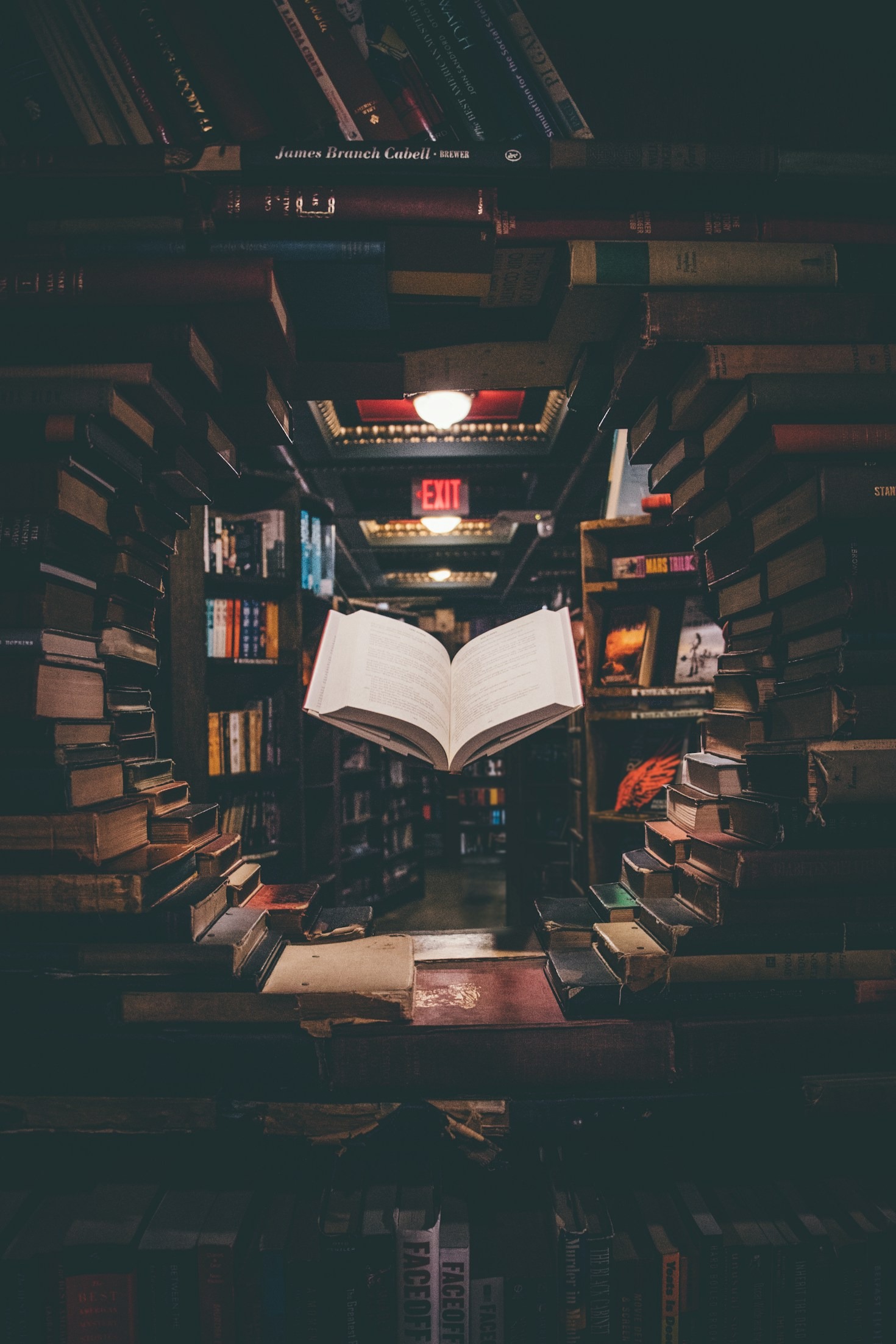 Balancing Humor with Literary Passion
